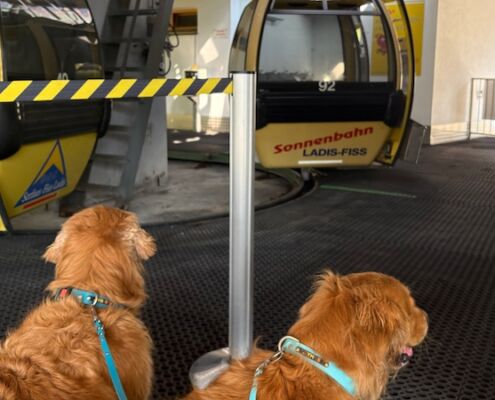 Urlaub mit Hund_Tirol_Hotel Bergfrieden Fiss_Sonnenbahn Ladis