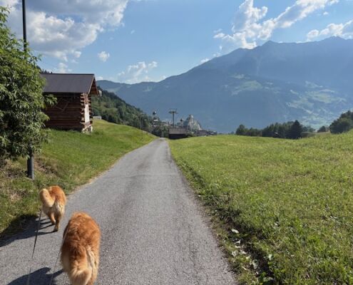 Urlaub mit Hund_Tirol_Hotel Bergfrieden Fiss_Wandern nach Ladis