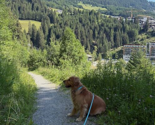 Urlaub mit Hund_Tirol_Hotel Bergfrieden Fiss_Wandertag