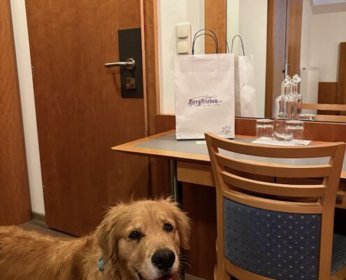 Urlaub mit Hund_Tirol_Hotel Bergfrieden Fiss_Willkommenspaket für Hunde