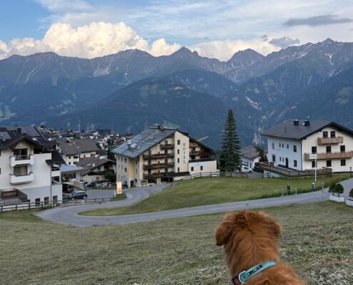 Urlaub mit Hund_Tirol_Hotel Bergfrieden Fiss_dieser Ausblick