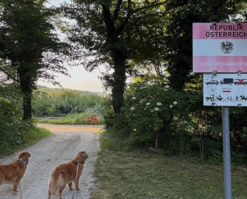 wp_Abenteuer mit Hund1