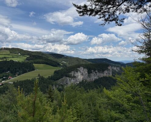 wp_Abenteuer mit Hund2