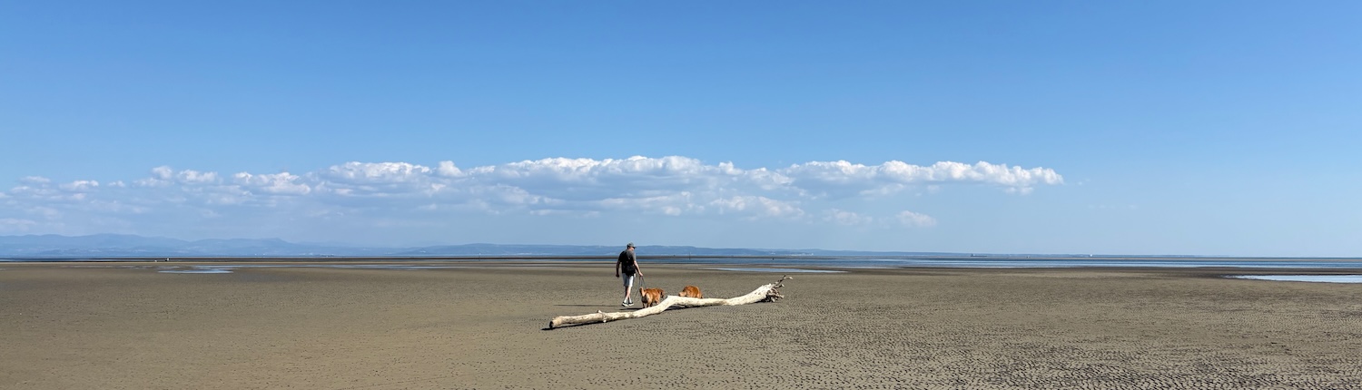 wp_Blog_Abenteuer mit Hund Titelbild