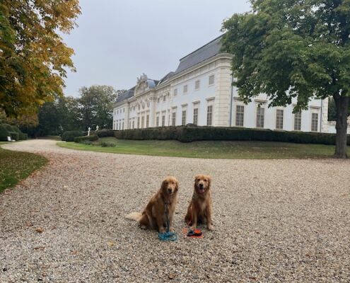 wp_Schlosspark Halbturn_Ausflug mit Hund