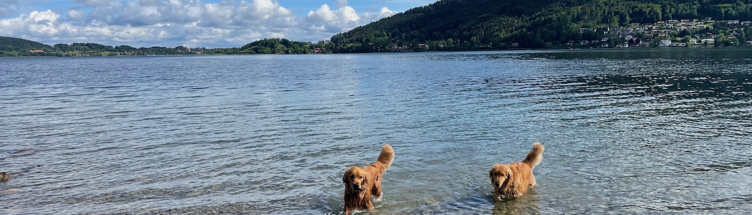 wp_Urlaub mit Hund Deutschland_Titelbild