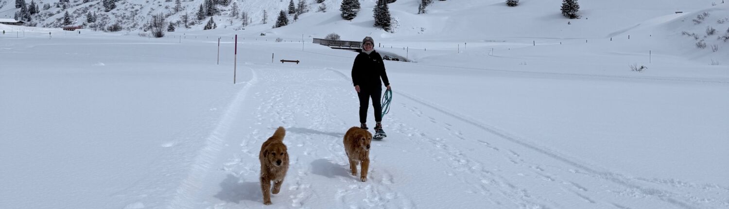 wp_Urlaub mit Hund Österreich_Titelbild