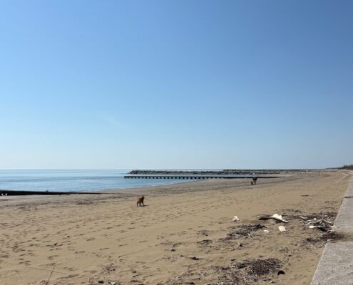 Urlaub mit Hund_Caorle_Pareus Resort_Winterstrand Baia Blu