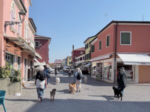 Urlaub mit Hund_Italien_Vela On Tour Gruppenreise_Altstadt Caorle