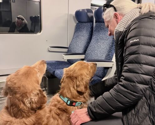 Urlaub mit Hund_Österreich_von Salzburg nach Kärnten_Tauernschleuse Tunnel spannend für Hunde