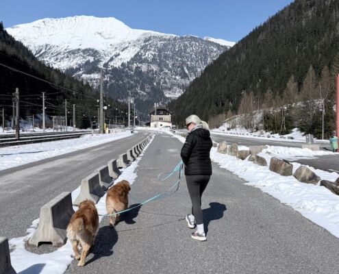 Urlaub mit Hund_Österreich_von Salzburg nach Kärnten_Tauernschleuse mit Hund Spaziergang