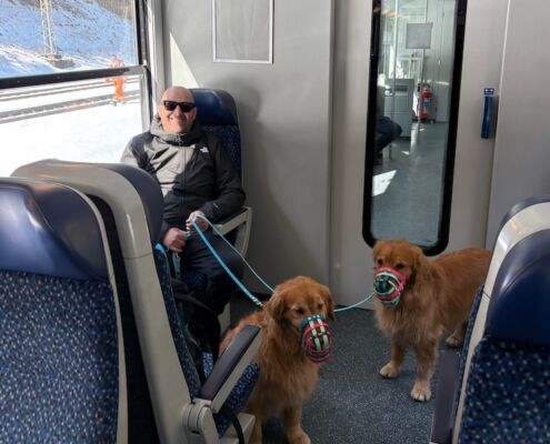 Urlaub mit Hund_Österreich_von Salzburg nach Kärnten_Tauernschleuse mit Hund und los gehts