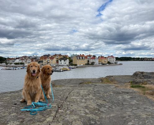 schweden-mit-hund-reisebericht-karlskrona-ausblick vom felsen