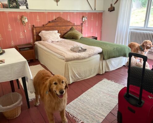 schweden-mit-hund-reisebericht-karlskrona-dogfriendly unterkunft