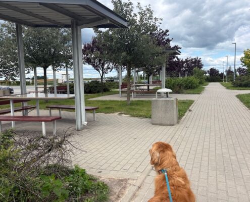 schweden-mit-hund-reisebericht-raststation polen autobahn