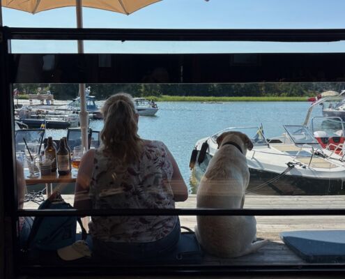 schweden-mit-hund-reisebericht-saltaroe-bullandoe krog hundegast