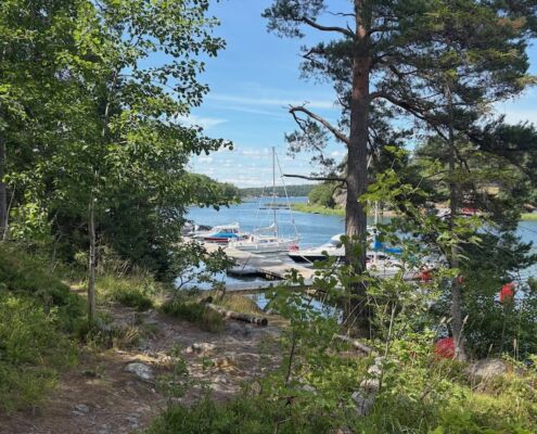 schweden-mit-hund-reisebericht-saltaroe-morgenhunderunde