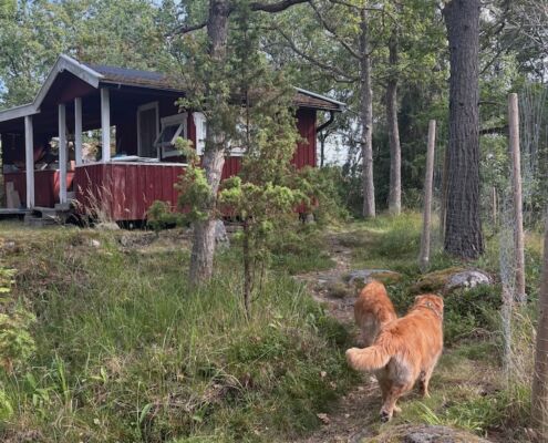 schweden-mit-hund-reisebericht-saltaroe-unser haeuschen
