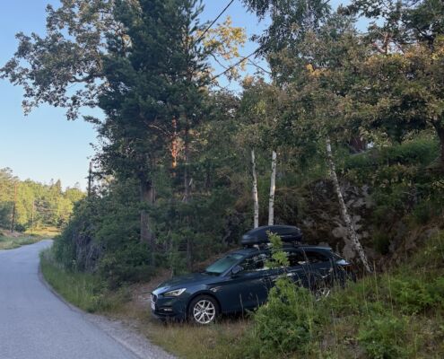 schweden-mit-hund-reisebericht-seat-leon-sp-kombi-treuer-begleiter