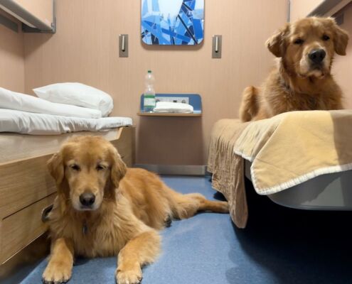 schweden-mit-hund-reisebericht-stenaline-faehre-hundefreundliche kabine