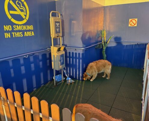 schweden-mit-hund-reisebericht-stenaline-faehre-hundwc