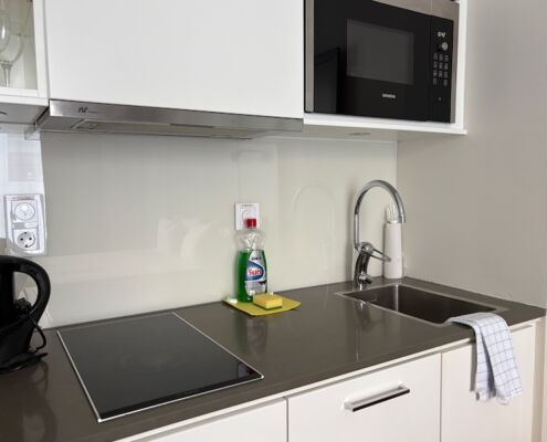schweden-mit-hund-reisebericht-stockholm-apartment-kueche