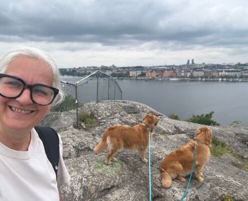 schweden-mit-hund-reisebericht-stockholm-happy-place
