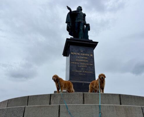 schweden-mit-hund-reisebericht-stockholm-koenig gustav