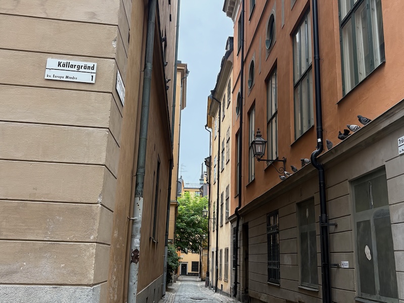 schweden-mit-hund-reisebericht-stockholm-schattige gassen