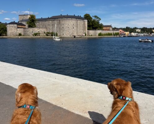schweden-mit-hund-reisebericht-vaxholm-festung