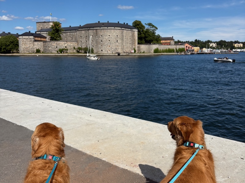 schweden-mit-hund-reisebericht-vaxholm-festung
