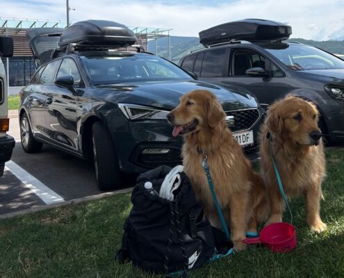 seat-leon-pause-bozen-hunde Pepa und Penny bei der Pause in Bozen auf dem Weg nach Tirol