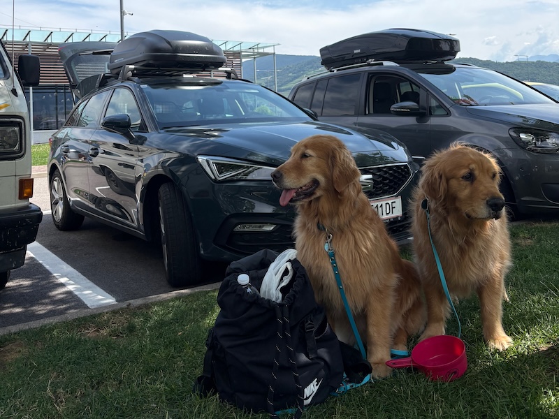 seat-leon-pause-bozen-hunde Pepa und Penny bei der Pause in Bozen auf dem Weg nach Tirol