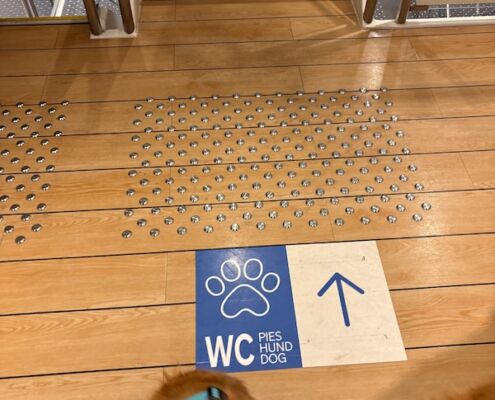 v-schweden-mit-hund-reisebericht-stenaline-auf dem richtigen weg