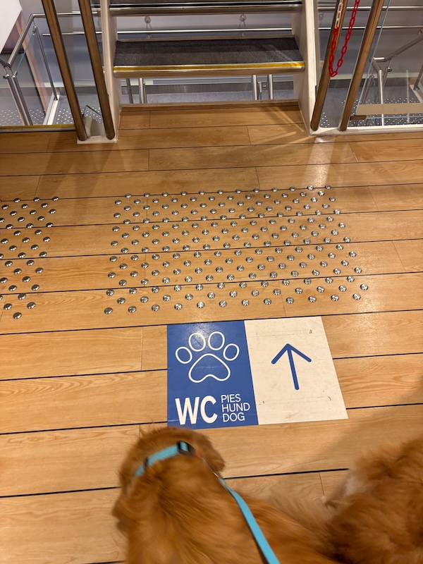 v-schweden-mit-hund-reisebericht-stenaline-auf dem richtigen weg