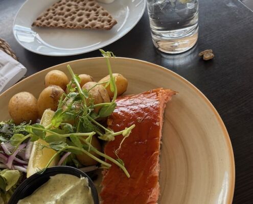 v-schweden-mit-hund-reisebericht-vaxholm-lunch mit hund