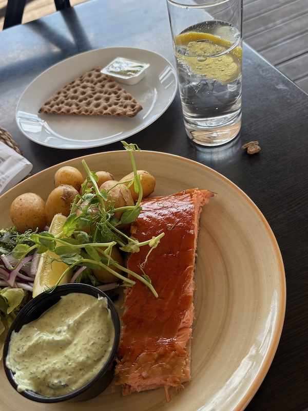 v-schweden-mit-hund-reisebericht-vaxholm-lunch mit hund
