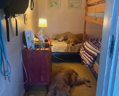v_schweden-mit-hund-reisebericht-saltaroe-stuga