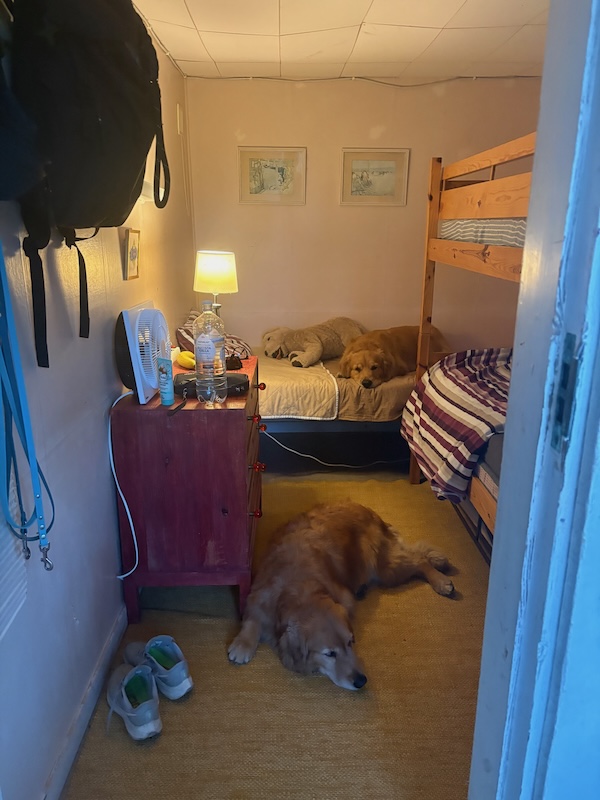 v_schweden-mit-hund-reisebericht-saltaroe-stuga