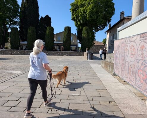 Mantrailen-Urlaub mit Hund 02