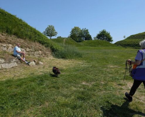 Mantrailen-Urlaub mit Hund 04