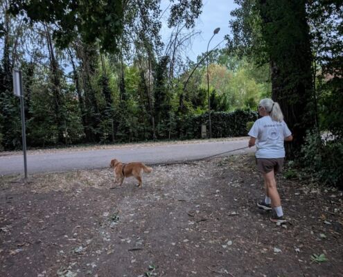 Mantrailen-Urlaub mit Hund 05