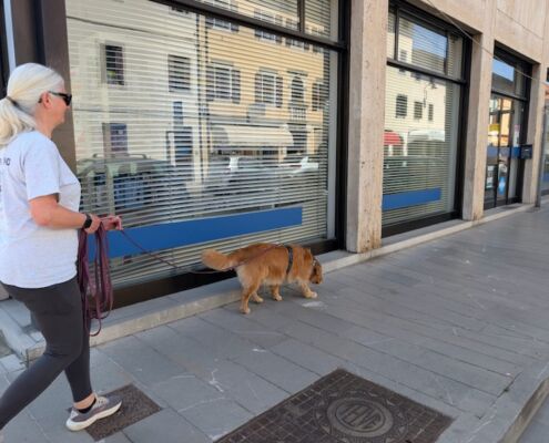 Mantrailen-Urlaub mit Hund 06