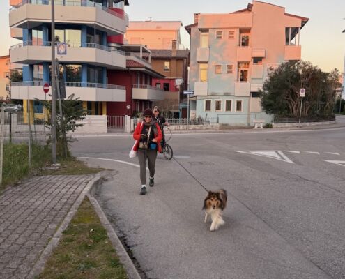 Mantrailen-Urlaub mit Hund 07