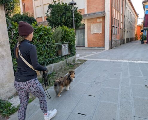 Mantrailen-Urlaub mit Hund 11