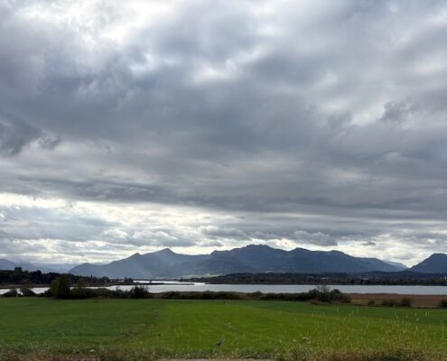 Mantrailen-Urlaub mit Hund-Gästehaus-Chiemsee-Reise