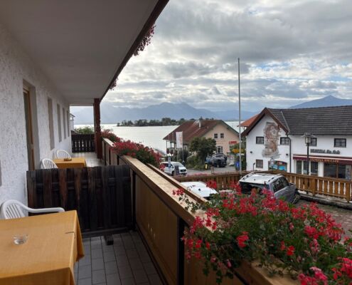 Mantrailen-Urlaub mit Hund-Gästehaus-Chiemsee-Zimmer mit Aussicht