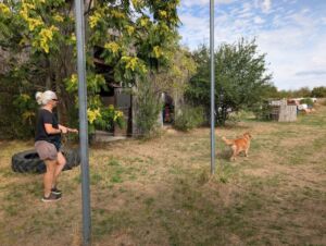 Trailen mit Pepa
