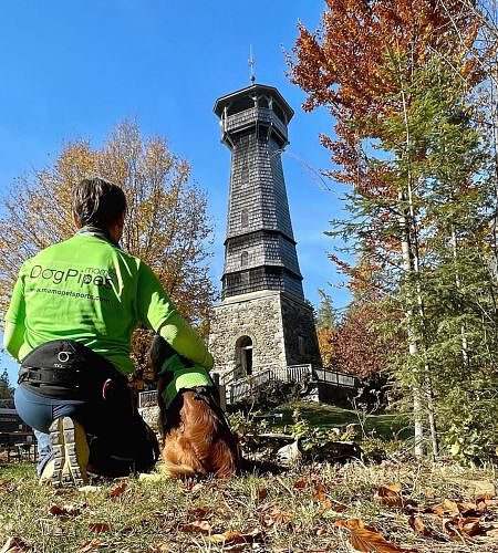 Herbstliche Aussicht, Turm, Hundewanderung, Hund mit Mann